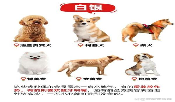 三角洲寻血猎犬标准配置(给我一份完整的三角洲寻血猎犬配置) 三角洲寻血猎犬标准配置(给我一份完整的三角洲寻血猎犬配置)